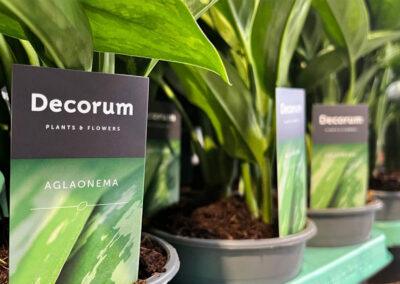 Decorum - mobiele showroom - truck